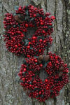 Decorating with Christmas Wreaths