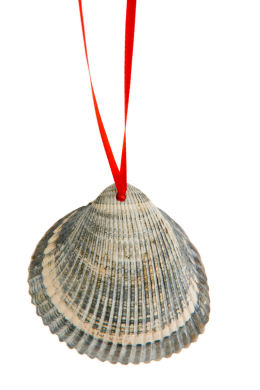 Christmas Shell Decorations Christmas Shell Decorations