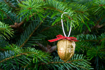 Christmas Tree Nut Decorations - simple and pretty!