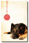 German Shepherd Christmas Card