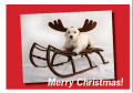 Merry Christmas Merry Christmas